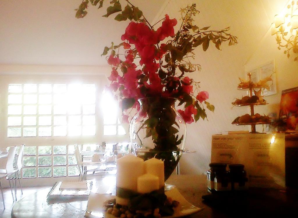 Bed And Breakfast Aloisio San Gregorio di Catania Exterior foto