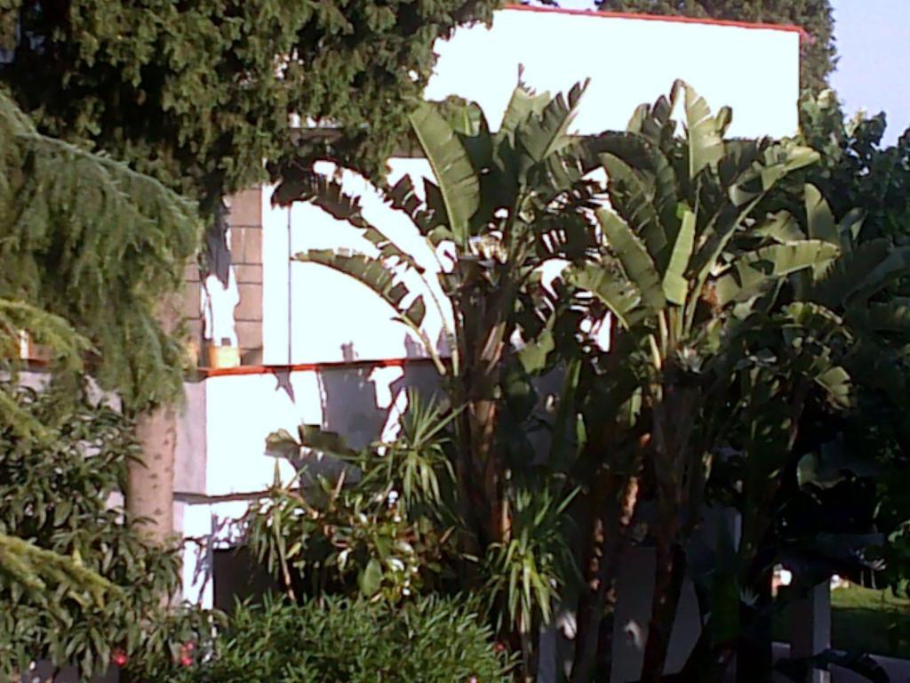 Bed And Breakfast Aloisio San Gregorio di Catania Exterior foto