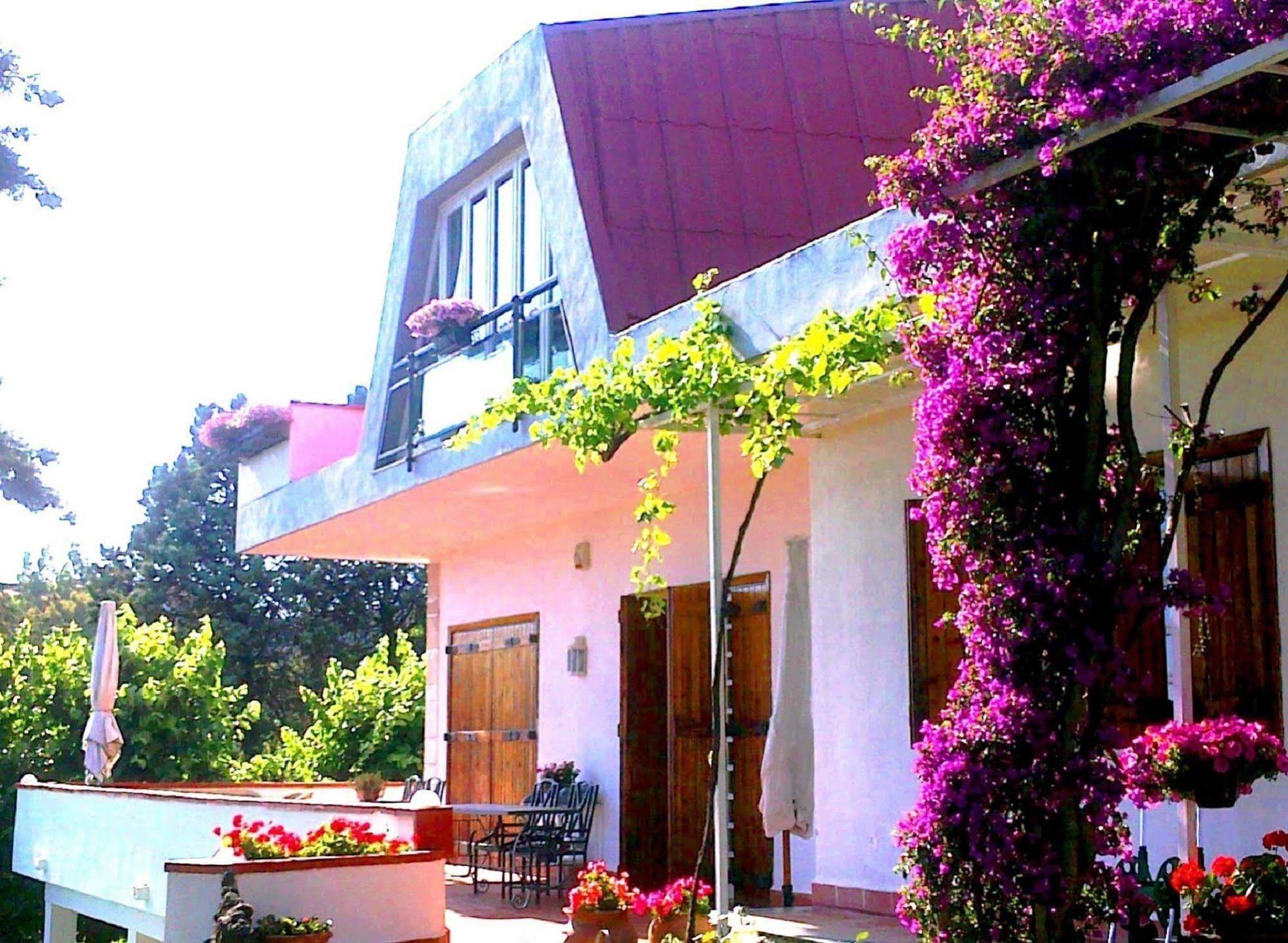 Bed And Breakfast Aloisio San Gregorio di Catania Exterior foto